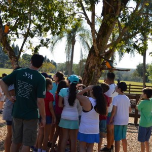 VIAGEM DE ESTUDOS AO SÍTIO DO CARROÇÃO