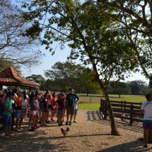 VIAGEM DE ESTUDOS AO SÍTIO DO CARROÇÃO