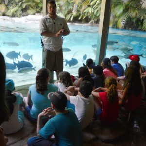 VIAGEM DE ESTUDOS AO SÍTIO DO CARROÇÃO