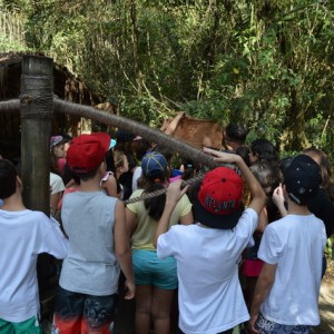 VIAGEM DE ESTUDOS AO SÍTIO DO CARROÇÃO