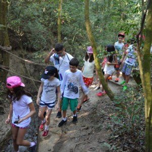 VIAGEM DE ESTUDOS AO SÍTIO DO CARROÇÃO