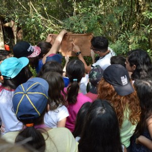 VIAGEM DE ESTUDOS AO SÍTIO DO CARROÇÃO