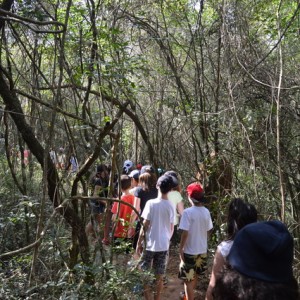 VIAGEM DE ESTUDOS AO SÍTIO DO CARROÇÃO