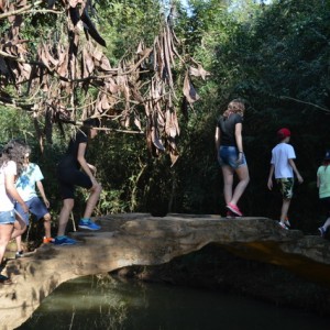 VIAGEM DE ESTUDOS AO SÍTIO DO CARROÇÃO