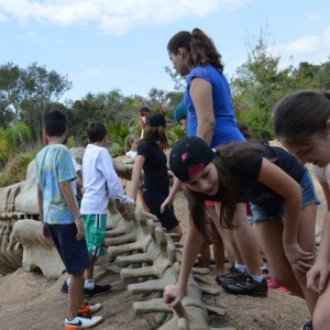 VIAGEM DE ESTUDOS AO SÍTIO DO CARROÇÃO