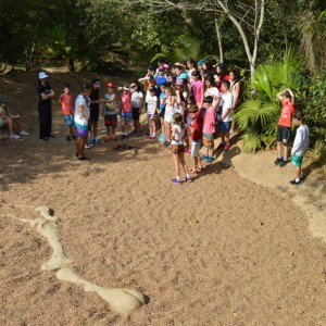 VIAGEM DE ESTUDOS AO SÍTIO DO CARROÇÃO