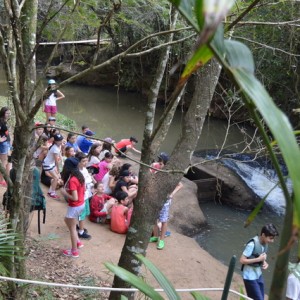 VIAGEM DE ESTUDOS AO SÍTIO DO CARROÇÃO