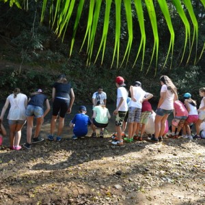 VIAGEM DE ESTUDOS AO SÍTIO DO CARROÇÃO