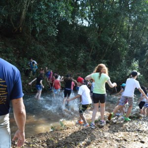 VIAGEM DE ESTUDOS AO SÍTIO DO CARROÇÃO