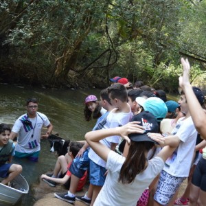 VIAGEM DE ESTUDOS AO SÍTIO DO CARROÇÃO