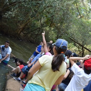 VIAGEM DE ESTUDOS AO SÍTIO DO CARROÇÃO