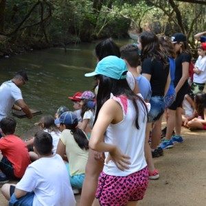 VIAGEM DE ESTUDOS AO SÍTIO DO CARROÇÃO