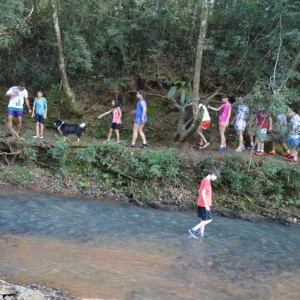 VIAGEM DE ESTUDOS AO SÍTIO DO CARROÇÃO