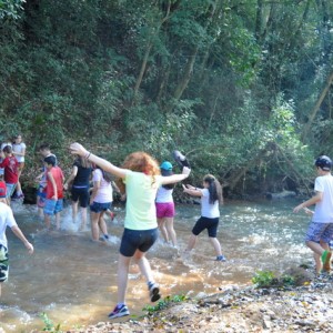 VIAGEM DE ESTUDOS AO SÍTIO DO CARROÇÃO