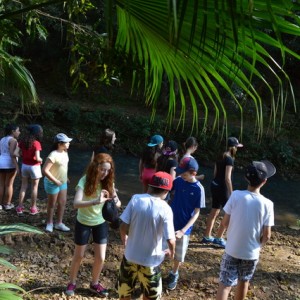 VIAGEM DE ESTUDOS AO SÍTIO DO CARROÇÃO