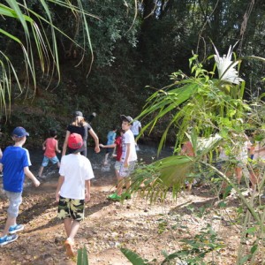 VIAGEM DE ESTUDOS AO SÍTIO DO CARROÇÃO