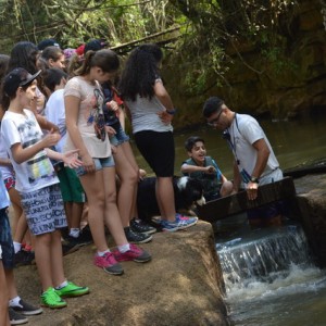 VIAGEM DE ESTUDOS AO SÍTIO DO CARROÇÃO