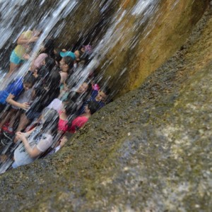 VIAGEM DE ESTUDOS AO SÍTIO DO CARROÇÃO