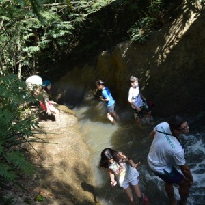 VIAGEM DE ESTUDOS AO SÍTIO DO CARROÇÃO