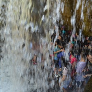 VIAGEM DE ESTUDOS AO SÍTIO DO CARROÇÃO