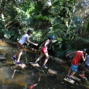 VIAGEM DE ESTUDOS AO SÍTIO DO CARROÇÃO