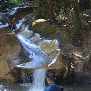 VIAGEM DE ESTUDOS AO SÍTIO DO CARROÇÃO