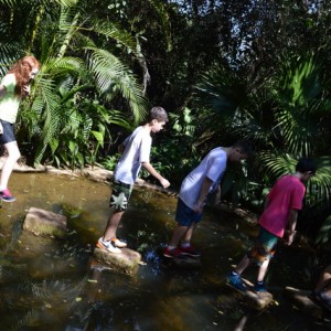 VIAGEM DE ESTUDOS AO SÍTIO DO CARROÇÃO