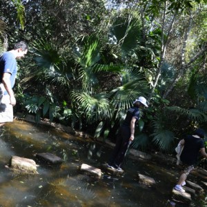 VIAGEM DE ESTUDOS AO SÍTIO DO CARROÇÃO