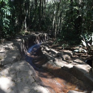 VIAGEM DE ESTUDOS AO SÍTIO DO CARROÇÃO