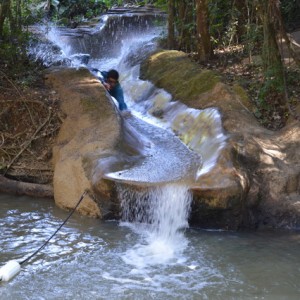 VIAGEM DE ESTUDOS AO SÍTIO DO CARROÇÃO