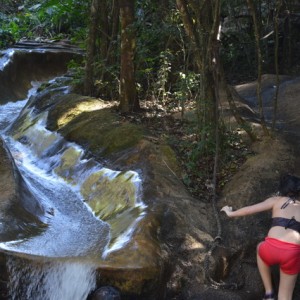 VIAGEM DE ESTUDOS AO SÍTIO DO CARROÇÃO