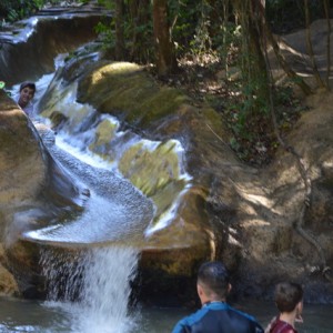 VIAGEM DE ESTUDOS AO SÍTIO DO CARROÇÃO