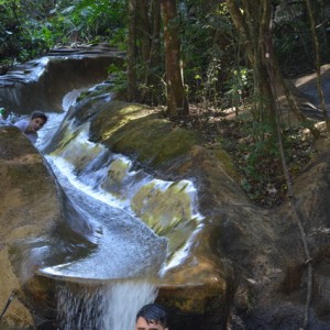 VIAGEM DE ESTUDOS AO SÍTIO DO CARROÇÃO