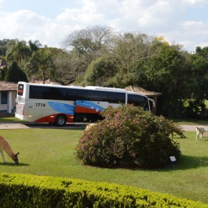 VIAGEM DE ESTUDOS AO SÍTIO DO CARROÇÃO