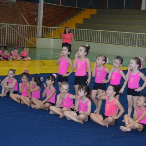 ENCERRAMENTO GINÁSTICA GERAL 2016